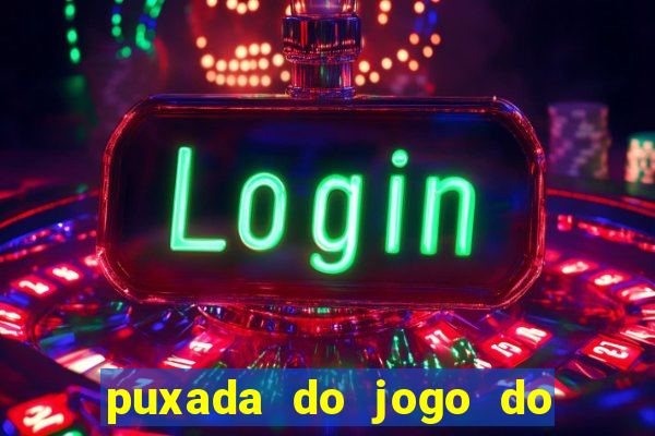 puxada do jogo do bicho da sueli